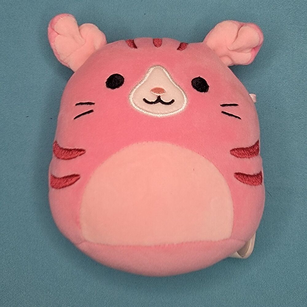 GERALDINE Squishmallows Scottish Fold Pink Cat Plush S5 #2052 Plush Stuffed